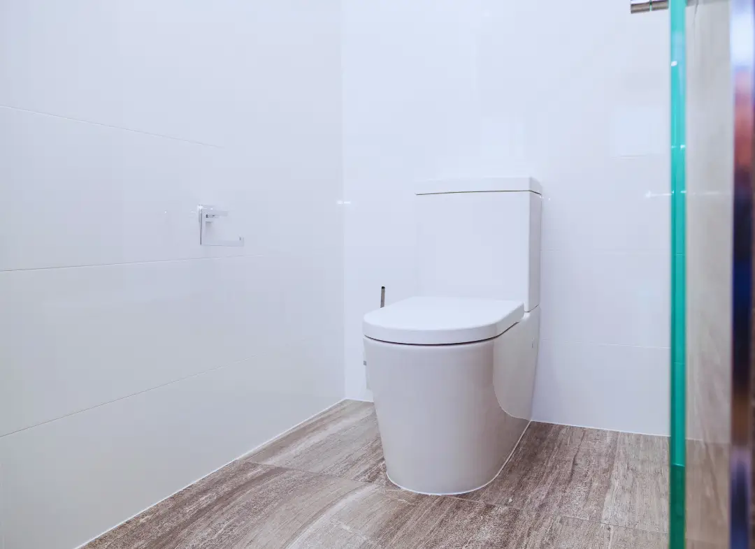 Remplacement de wc Aimargues